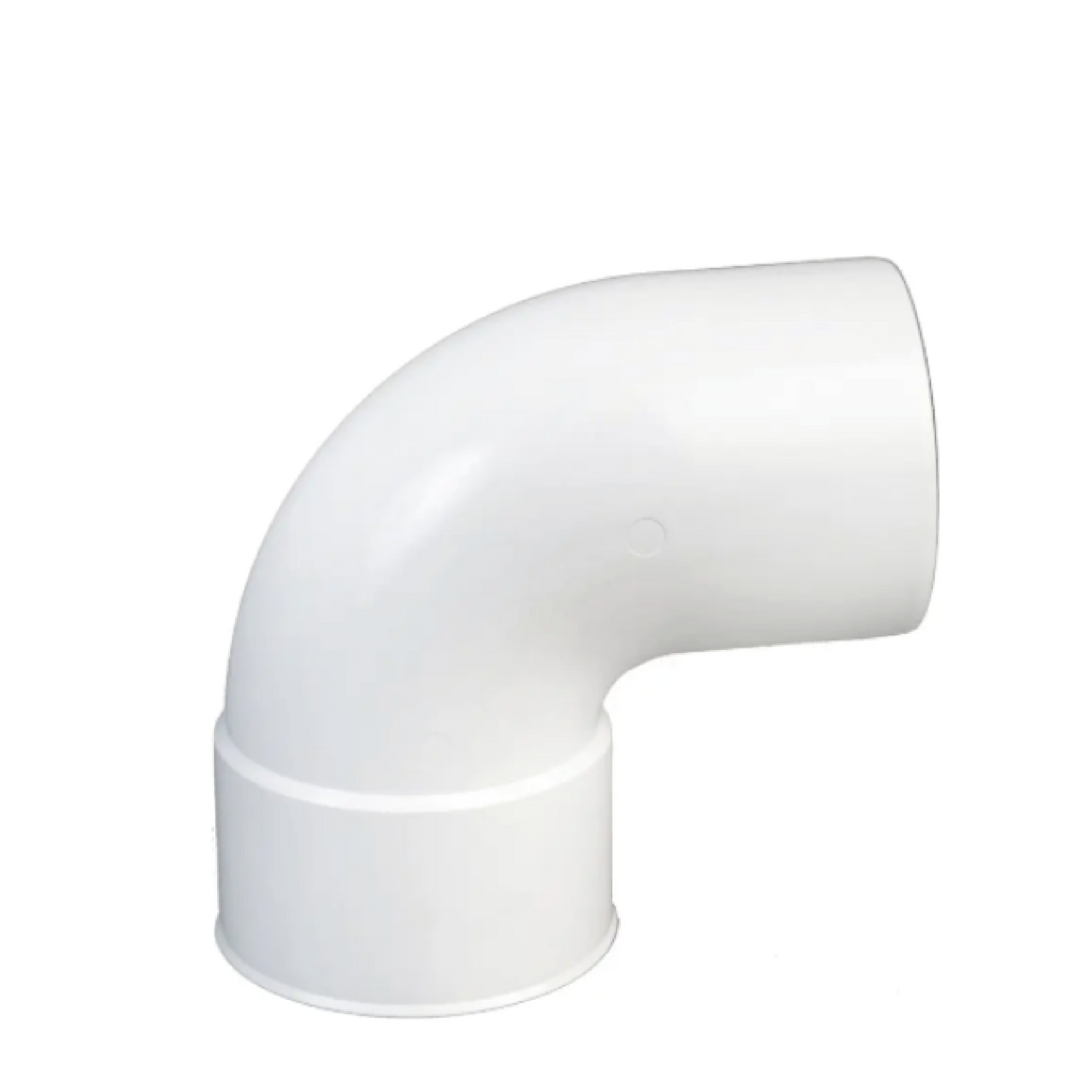 CODO MACHO – HEMBRA