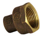 Terminal So-HI 1/2" x 3/4"