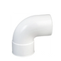 CODO MACHO – HEMBRA