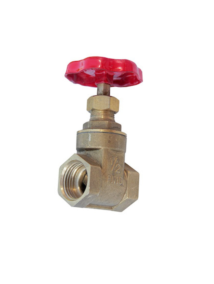 Válvula Compuerta 1/2"